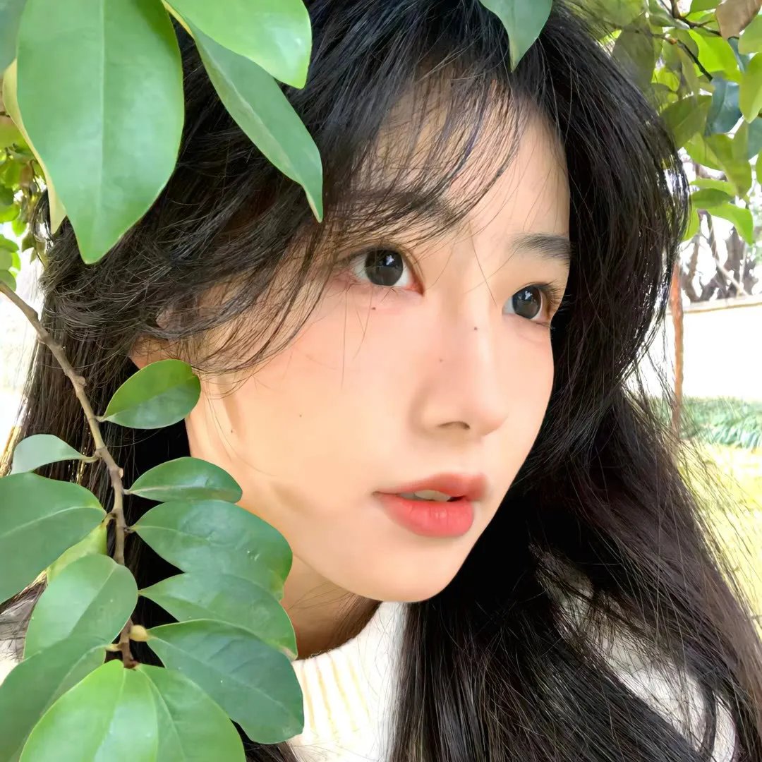 爱恨焚身第一季